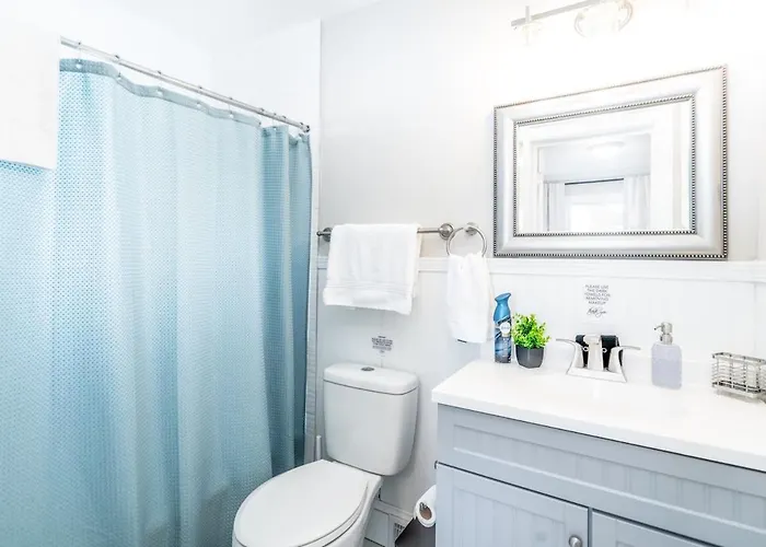 Ardmore Neighborhood Gem - Pet And Kid Friendly * Winston-Salem